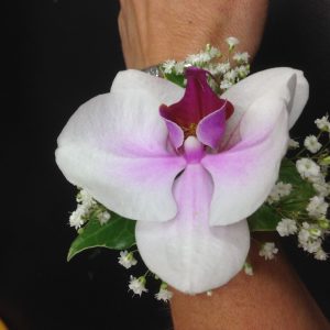Pink Orchid Wrist Corsage – Price on request
